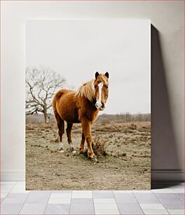 Πίνακας, Brown Horse in Open Field Καφέ άλογο σε ανοιχτό πεδίο