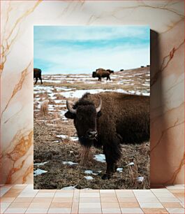 Πίνακας, Buffalo in Winter Landscape Buffalo in Winter Landscape