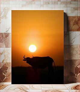 Πίνακας, Buffalo Silhouette at Sunset Buffalo Silhouette στο ηλιοβασίλεμα