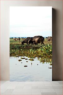 Πίνακας, Buffaloes Grazing Near a Water Body Βούβαλοι που βόσκουν κοντά σε ένα υδάτινο σώμα