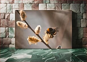 Πίνακας, Bumblebee on a Flowering Branch Bumblebee σε ένα ανθισμένο κλαδί