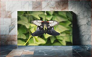 Πίνακας, Butterflies on Foliage Πεταλούδες στο φύλλωμα