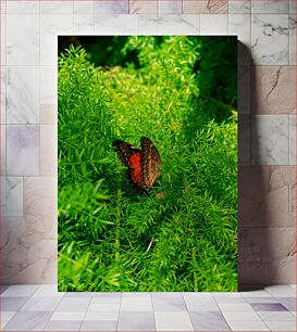 Πίνακας, Butterfly in Green Foliage Πεταλούδα σε πράσινο φύλλωμα