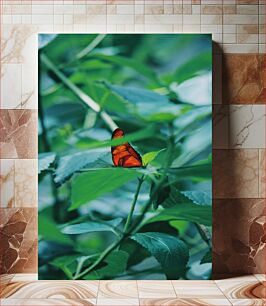 Πίνακας, Butterfly in the Greenery Πεταλούδα στο πράσινο