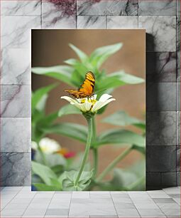 Πίνακας, Butterfly on a Flower Πεταλούδα σε ένα λουλούδι