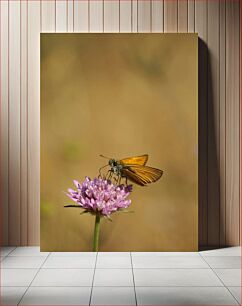 Πίνακας, Butterfly on a Flower Πεταλούδα σε ένα λουλούδι