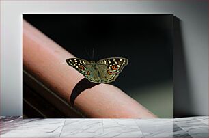 Πίνακας, Butterfly on a Railing Πεταλούδα σε ένα κιγκλίδωμα