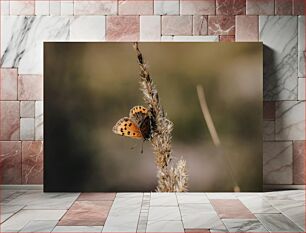 Πίνακας, Butterfly on a Twig Πεταλούδα σε ένα κλαδί