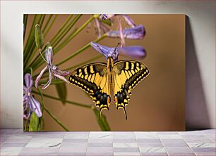 Πίνακας, Butterfly on Flower Πεταλούδα στο λουλούδι