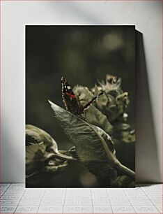 Πίνακας, Butterfly on Leaf Πεταλούδα σε φύλλο