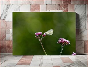 Πίνακας, Butterfly on Purple Flowers Πεταλούδα σε μωβ λουλούδια