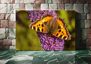 Πίνακας, Butterfly on Purple Flowers Πεταλούδα σε μωβ λουλούδια