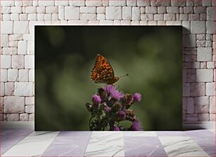 Πίνακας, Butterfly on Thistle Πεταλούδα στο γαϊδουράγκαθο