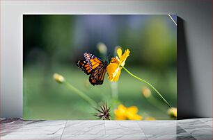 Πίνακας, Butterfly on Yellow Flower Πεταλούδα στο κίτρινο λουλούδι