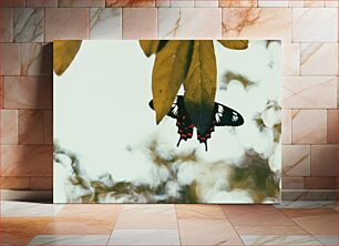 Πίνακας, Butterfly Under Leaf Πεταλούδα κάτω από το φύλλο