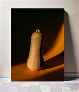 Πίνακας, Butternut Squash in Dramatic Light Butternut Squash σε δραματικό φως