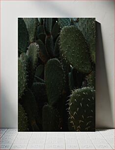 Πίνακας, Cactus Close-up Κοντινό πλάνο κάκτων