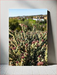 Πίνακας, Cactus in Bloom Κάκτος σε άνθιση