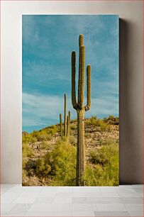 Πίνακας, Cactus in the Desert Κάκτος στην έρημο