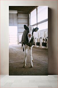 Πίνακας, Calf in Barn Μοσχάρι στον Αχυρώνα