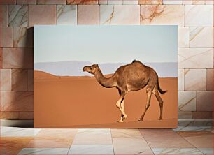 Πίνακας, Camel in the Desert Καμήλα στην έρημο