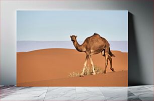 Πίνακας, Camel in the Desert Καμήλα στην έρημο