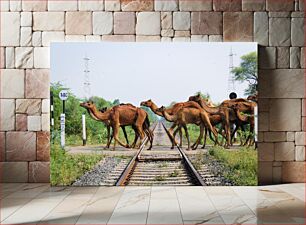 Πίνακας, Camels Crossing Railway Track Καμήλες που διασχίζουν τη σιδηροδρομική γραμμή