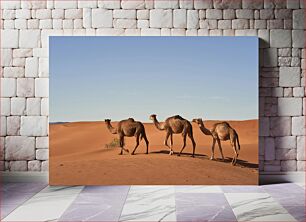 Πίνακας, Camels in the Desert Καμήλες στην έρημο