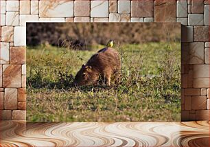 Πίνακας, Capybara with Bird Capybara με πουλί