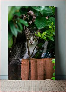 Πίνακας, Cat Hiding in Greenery Γάτα που κρύβεται στο πράσινο