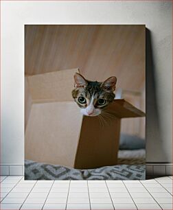 Πίνακας, Cat in a Box Γάτα σε κουτί