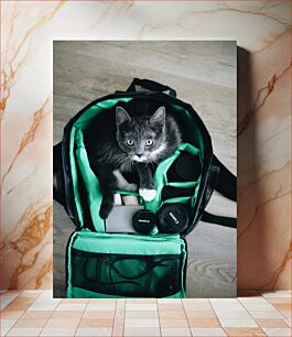 Πίνακας, Cat in a Camera Bag Γάτα σε τσάντα κάμερας