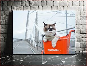 Πίνακας, Cat in an Orange Basket on a Bridge Γάτα σε ένα πορτοκαλί καλάθι σε μια γέφυρα