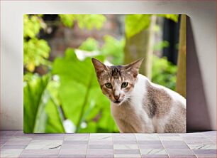 Πίνακας, Cat in Greenery Γάτα στο πράσινο