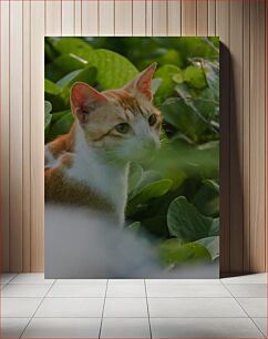 Πίνακας, Cat in the Greenery Γάτα στο πράσινο