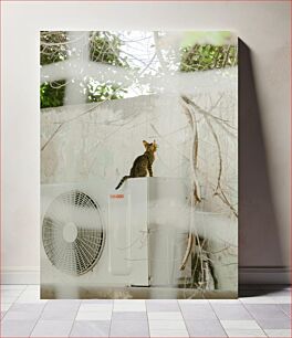Πίνακας, Cat on Air Conditioner Cat on Air Conditioner
