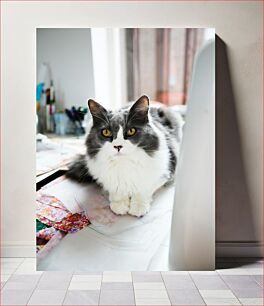 Πίνακας, Cat on Desk Γάτα στο γραφείο