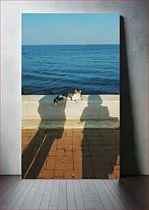 Πίνακας, Cat on Seafront Γάτα στην παραλία