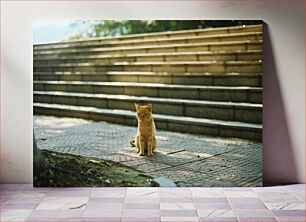 Πίνακας, Cat on Steps Γάτα στα σκαλιά