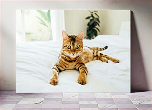 Πίνακας, Cat Relaxing on Bed Γάτα που χαλαρώνει στο κρεβάτι