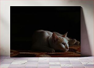 Πίνακας, Cat Resting in the Shadows Γάτα που αναπαύεται στις σκιές