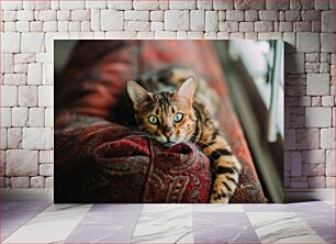 Πίνακας, Cat Resting on Couch Γάτα που στηρίζεται στον καναπέ