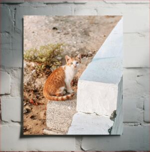 Πίνακας, Cat Sitting on a Concrete Block Γάτα που κάθεται σε ένα τσιμεντένιο τούβλο