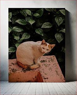 Πίνακας, Cat Sitting on a Ledge Γάτα που κάθεται σε μια προεξοχή