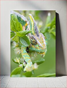 Πίνακας, Chameleon in Nature Χαμαιλέοντας στη φύση