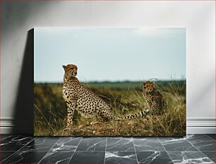 Πίνακας, Cheetah and Cub in the Wild Cheetah and Cub in the Wild