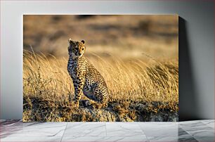 Πίνακας, Cheetah in the Grasslands Τσιτάχ στα λιβάδια