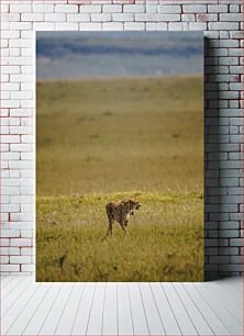 Πίνακας, Cheetah in the Savannah Τσιτάχ στη Σαβάνα