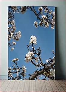 Πίνακας, Cherry Blossom Branches and Blue Sky Κλαδιά Cherry Blossom και Blue Sky