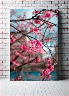 Πίνακας, Cherry Blossom in Spring Άνθη κερασιάς την άνοιξη